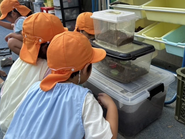 大好き！カブトムシ