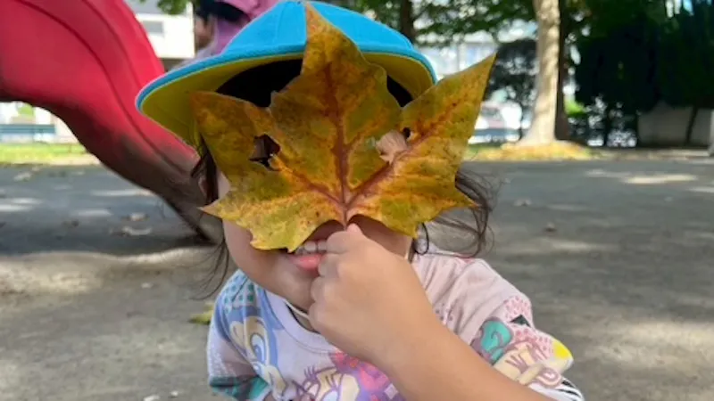 わくわくキッズの保育理念・方針