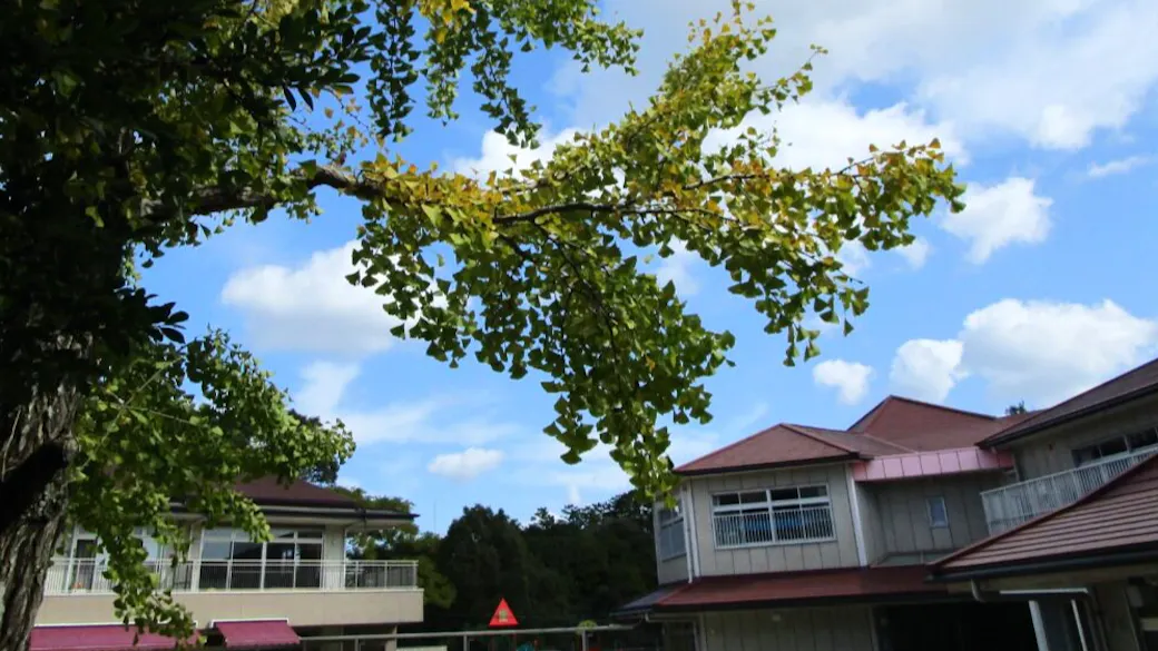 認定こども園東郷信愛幼稚園の施設イメージ