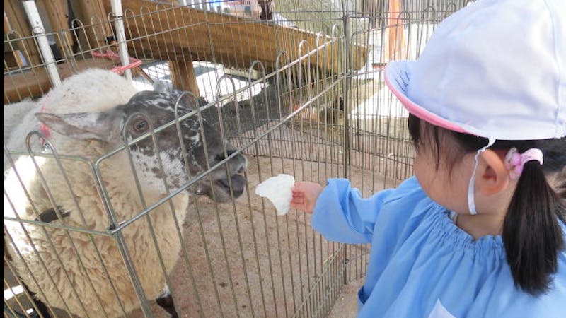 幼保連携型認定こども園　うわまち幼稚園の保育理念・方針