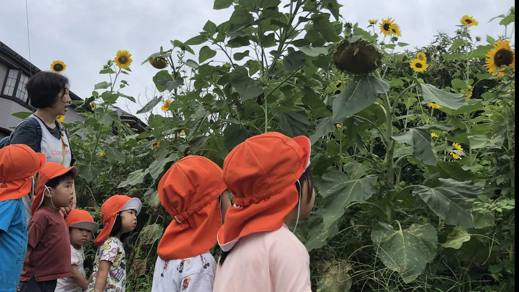 ふれあう「木育」