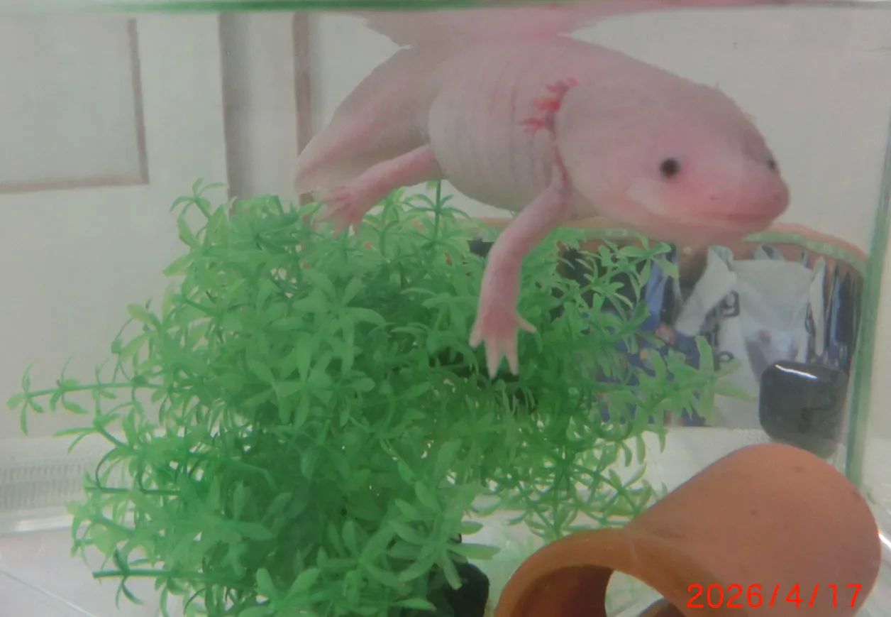 みんなのスマイルキッズ江戸川橋保育園