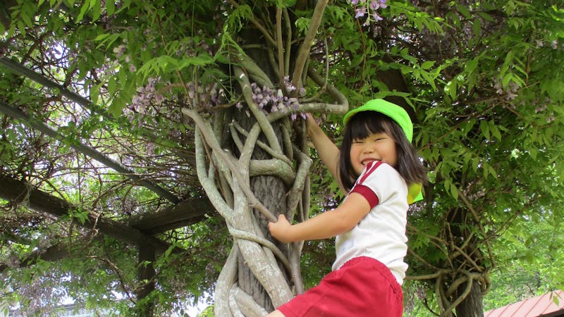 認定こども園　稲葉幼稚園・稲葉保育園の保育理念・方針