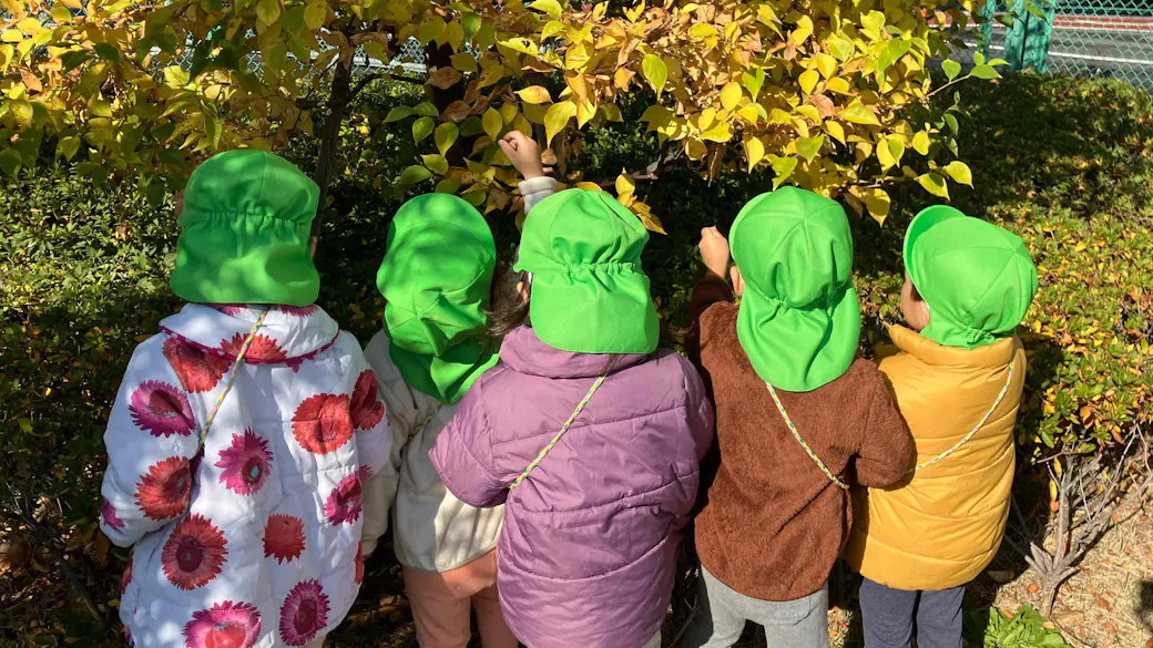 お散歩が大好き！