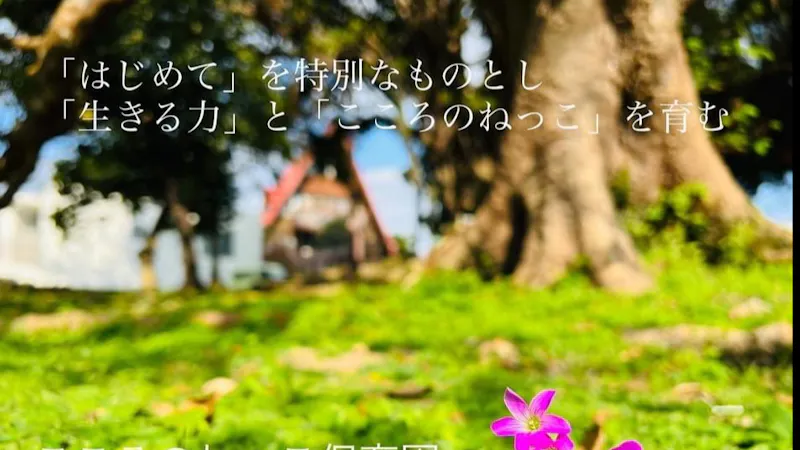 ひまわり保育園おきなわの保育理念・方針