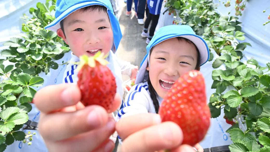 仲間と共に活動し、様々な体験を