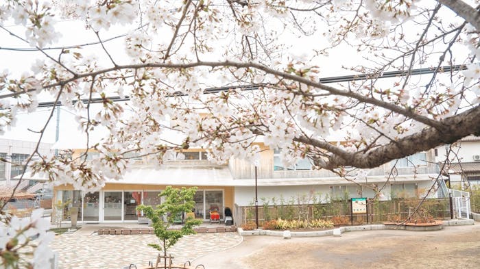 環境に恵まれた保育園