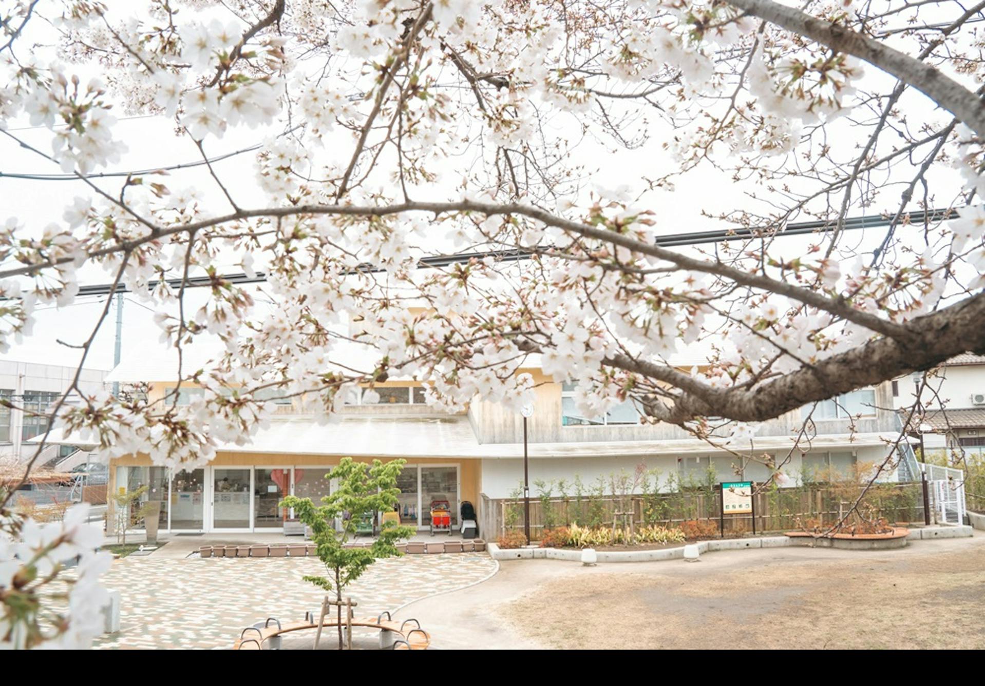 自然に囲まれた公園の中にある保育園でのびのび保育をしませんか