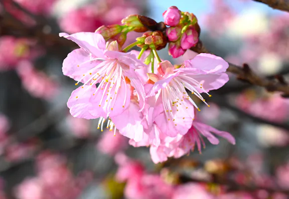 社会福祉法人　ペリー福祉会 【元気！勇気！笑顔！】ペリー保育園
