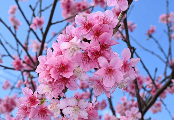 社会福祉法人　ペリー福祉会 【元気！勇気！笑顔！】ペリー保育園