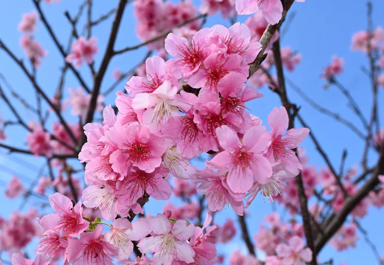 【元気！勇気！笑顔！】ペリー保育園