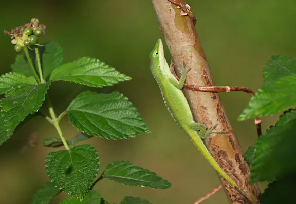 社会福祉法人　ペリー福祉会 【元気！勇気！笑顔！】ペリー保育園
