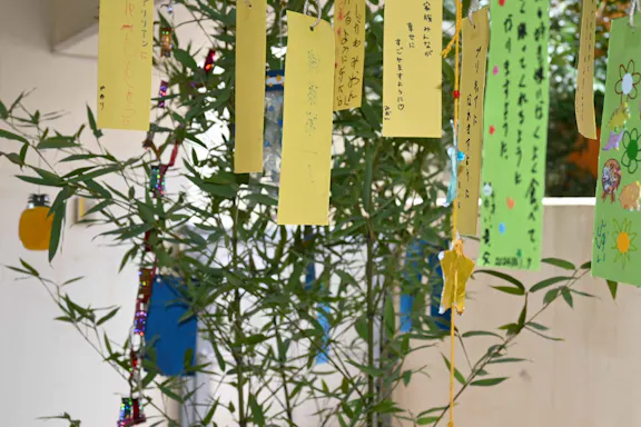 社会福祉法人　ペリー福祉会 【元気！勇気！笑顔！】ペリー保育園