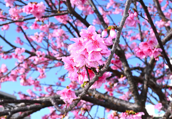 社会福祉法人　ペリー福祉会 【元気！勇気！笑顔！】ペリー保育園