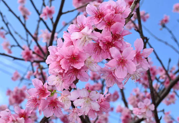 【元気！勇気！笑顔！】ペリー保育園