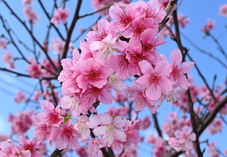 【元気！勇気！笑顔！】ペリー保育園