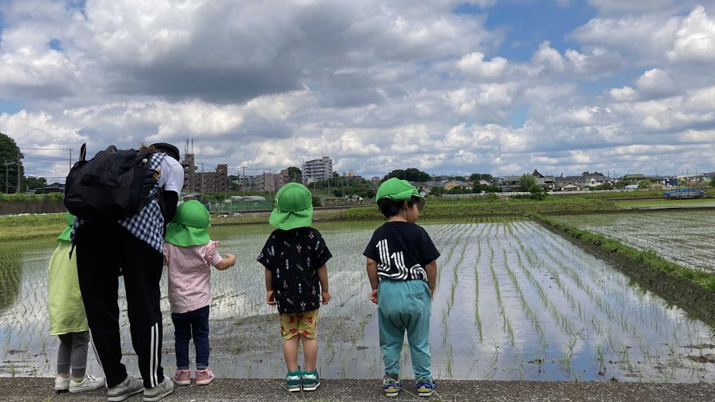 お米ができるんだねー