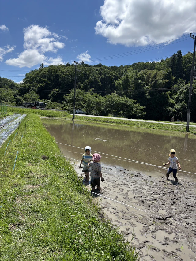 田植え