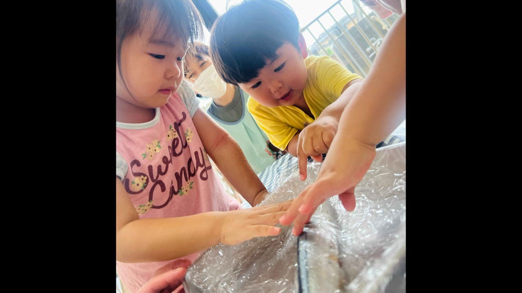 食育　このお魚は「さんま」だよ