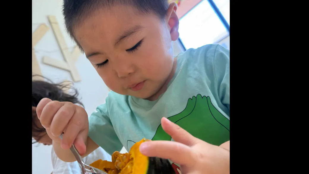食育　かぼちゃの種とりは、まかせて！