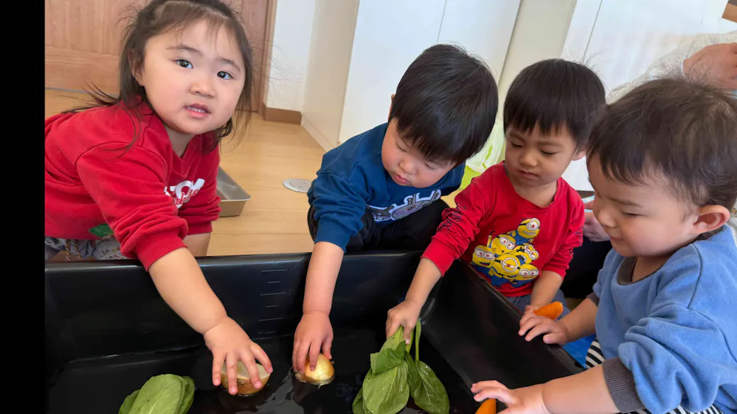 食育　いろんなお野菜洗ったよ！