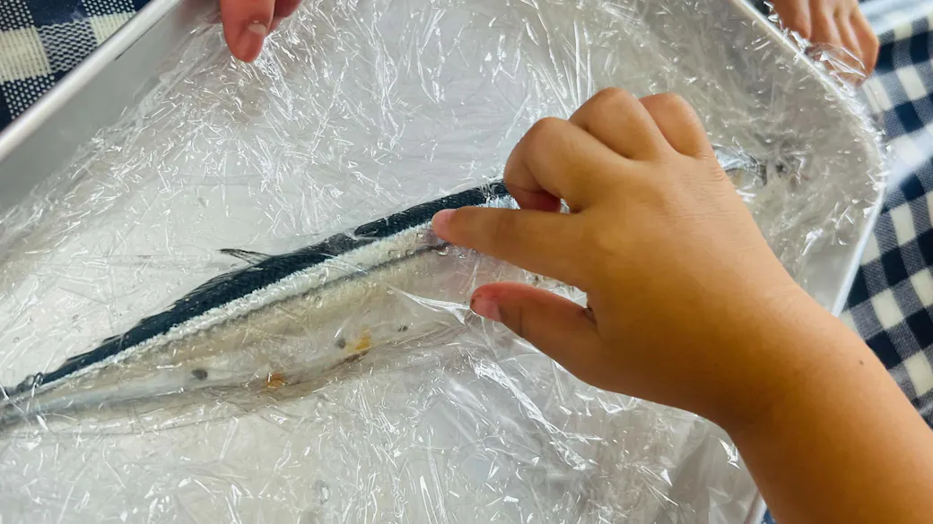 「おさかな　さわっちゃった！」