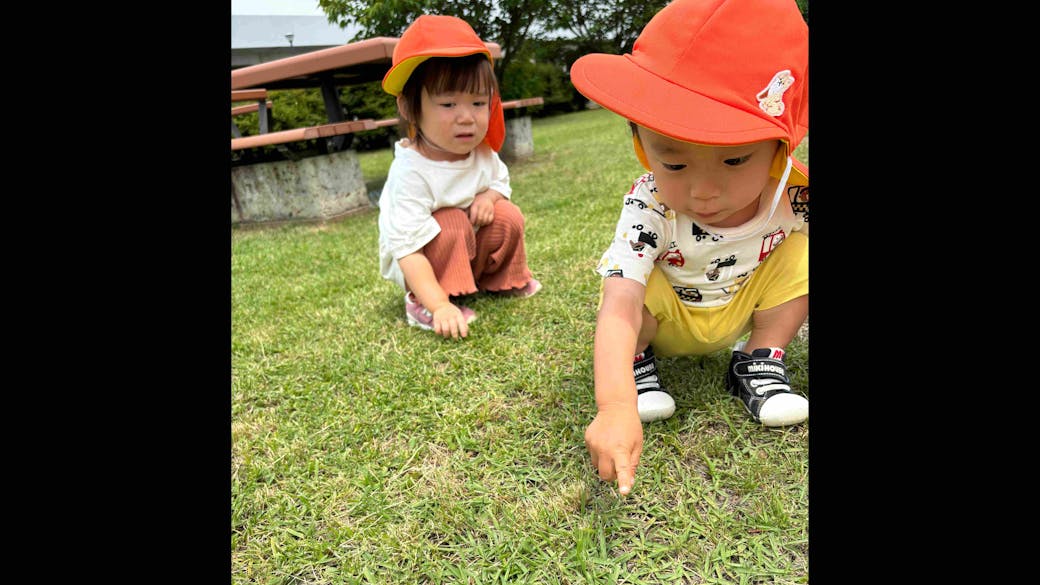 南図書館広場でかえる見つけたよ！！