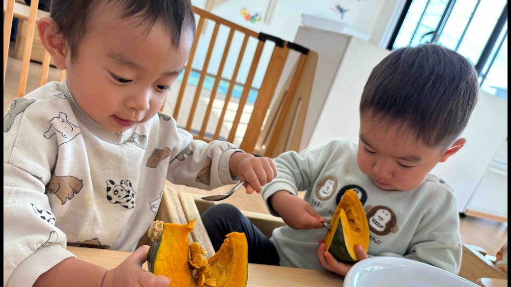 食育 かぼちゃの種をとったよ!