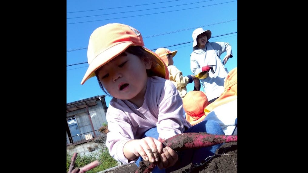 ココカラ農園　親子行事として、収穫体験ができます。