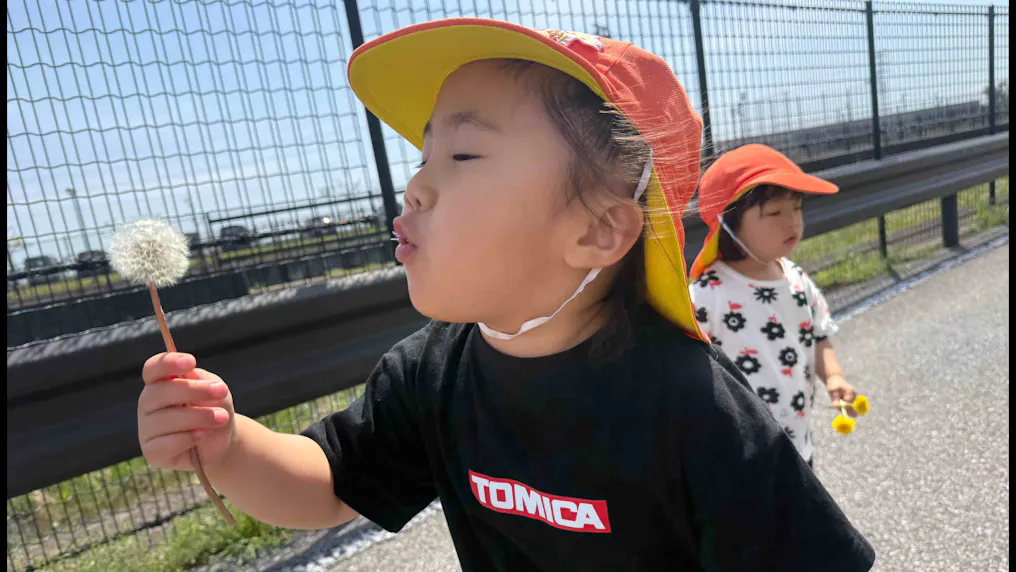 貯水池周りの散策路には、お花がいっぱい！
