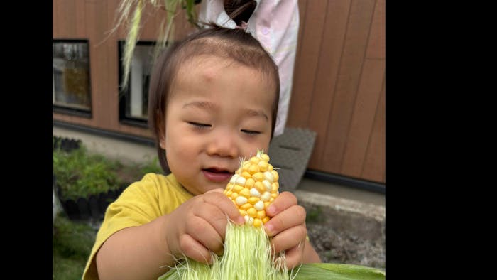 子どもたちの「おいしい！」という可愛い声が響きます。