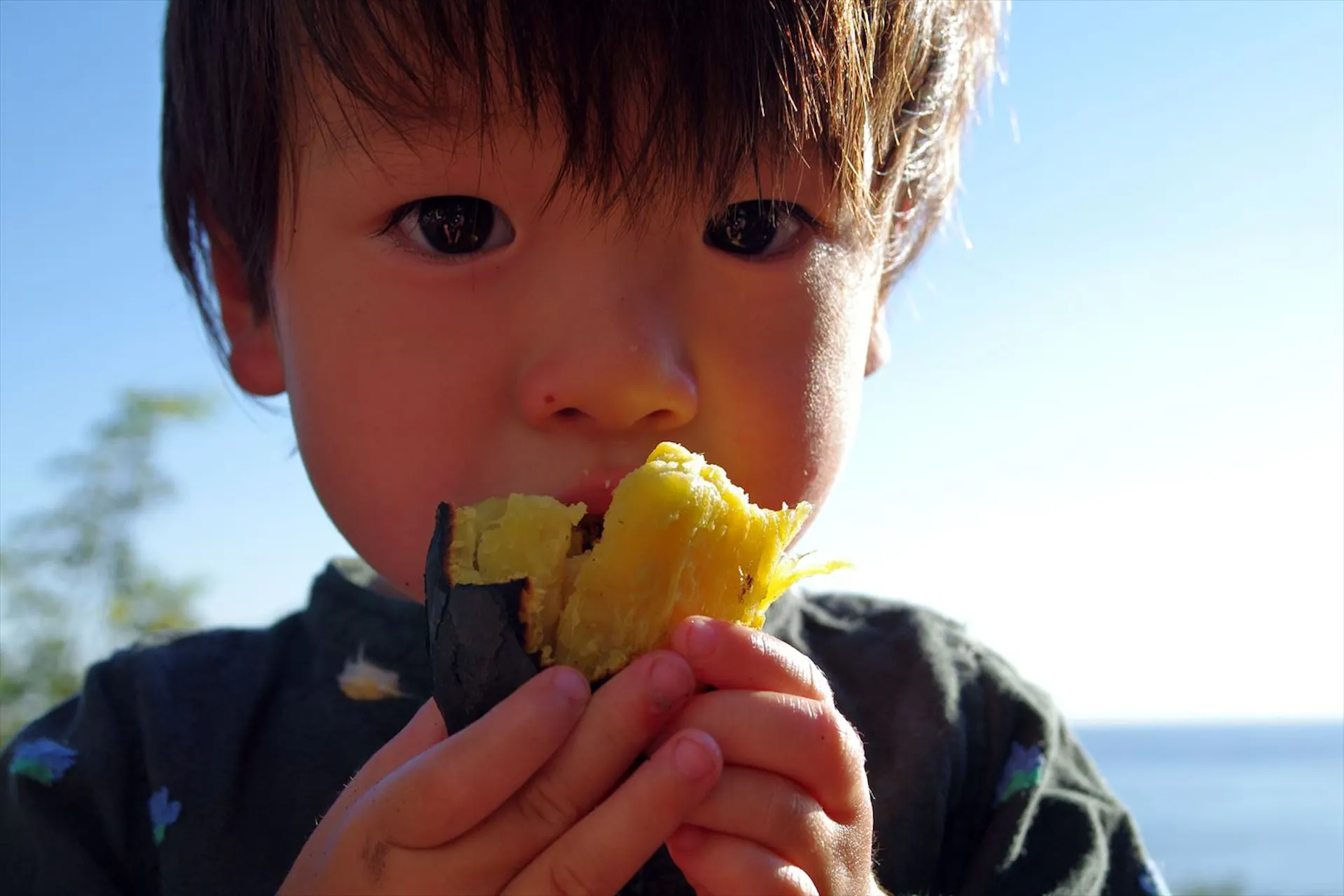 調理員さんの募集です。優しい栄養士と一緒に楽しくお給食作り。