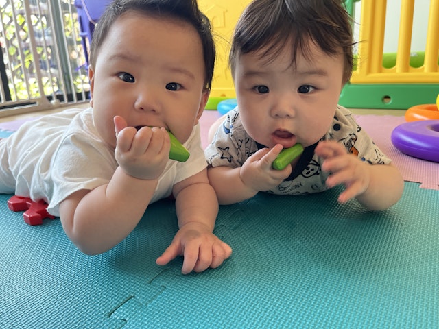 令和8年度４月入園に向けた保育園見学も受け付けています。