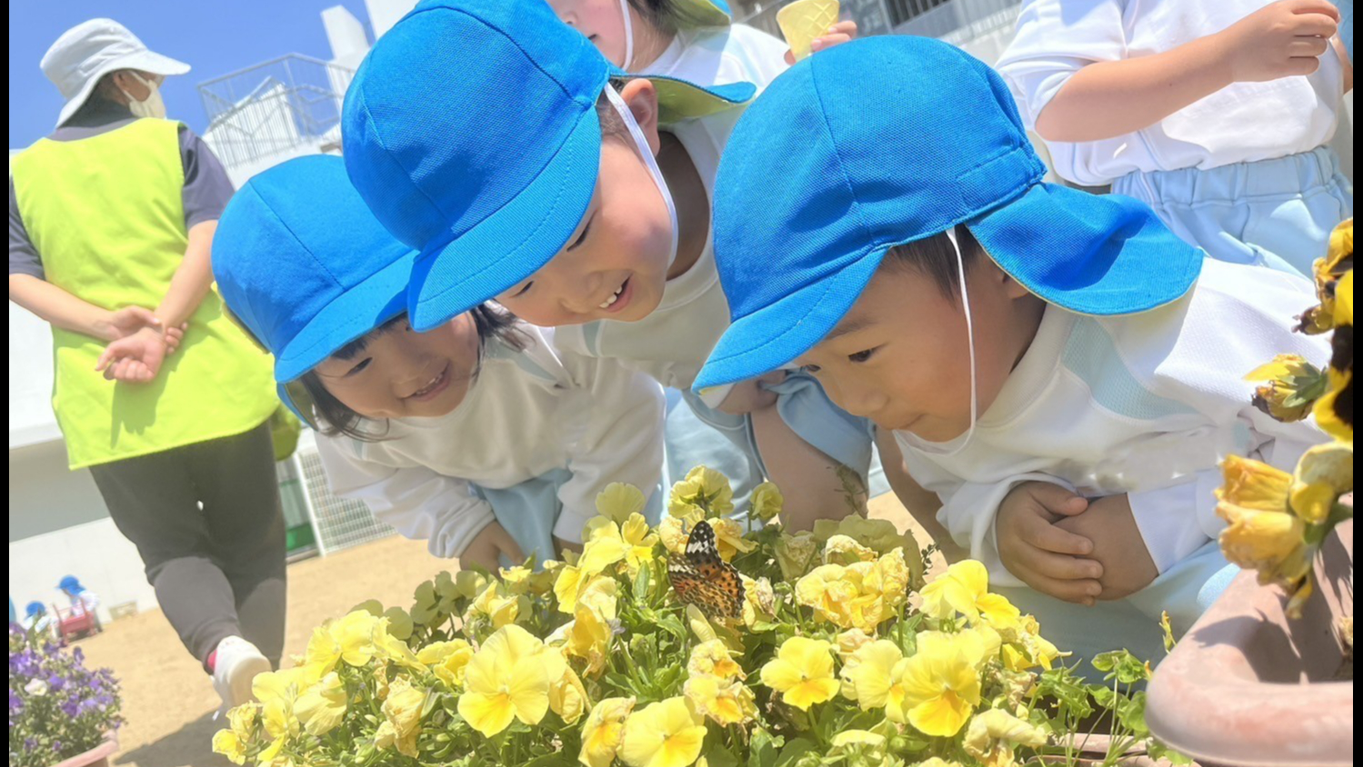 公式】社会福祉法人 優和会 やまのみ保育園/ やまのみタウン/ やまのみカントリー(見学可) | 福岡市東区 | 認可保育園