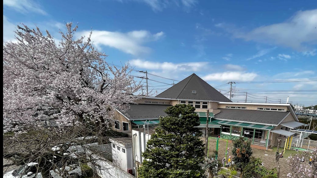 木材をメインに建てられたぬくもりのある園舎✨