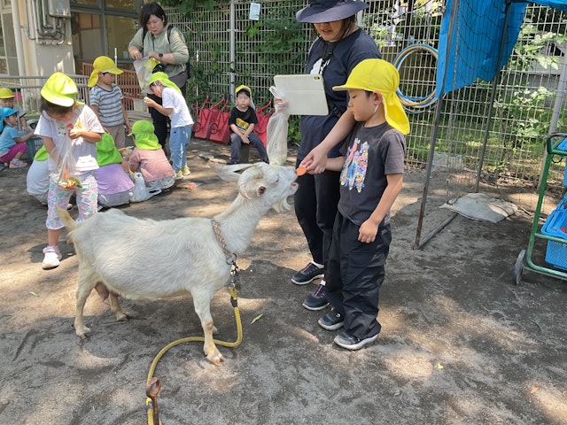 移動動物園がやってきました。