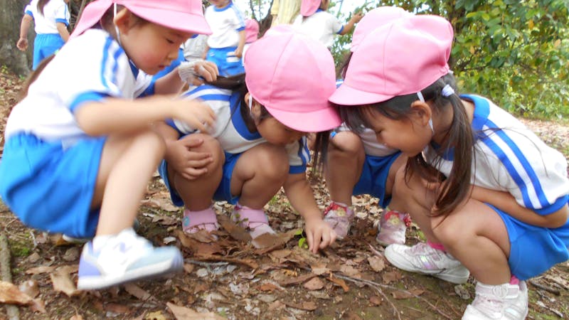 荻野すみれ愛児園の保育理念・方針