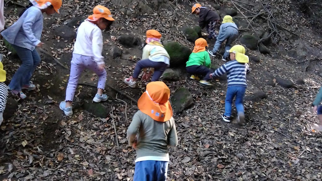 散歩や園庭で、自然遊びを楽しもう！