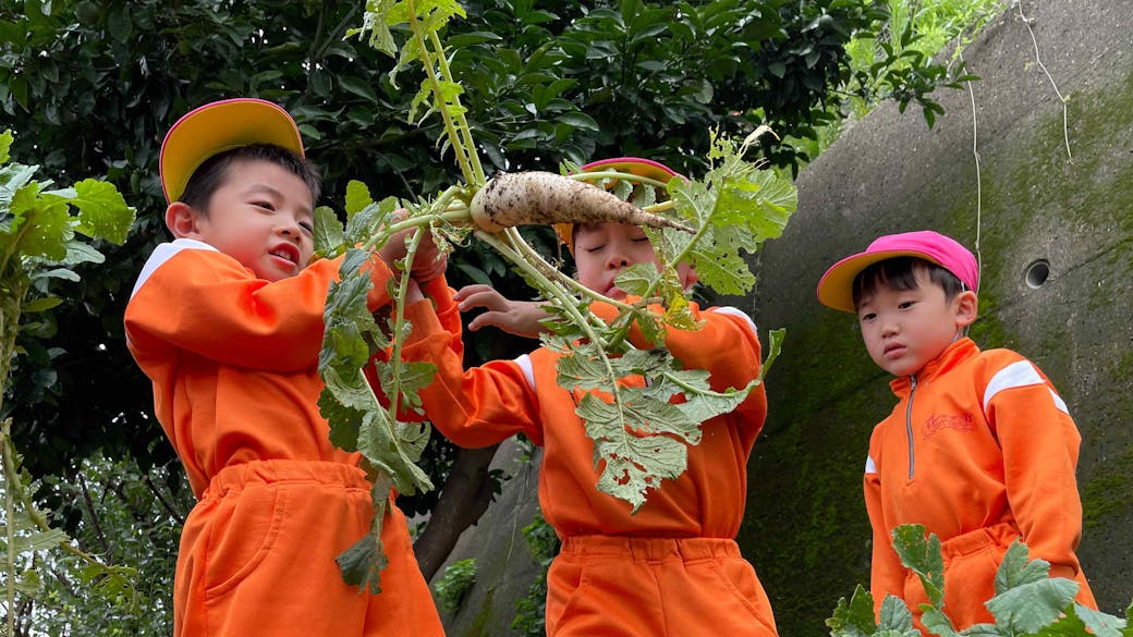 ぐんぐん育つ元気野菜！里山活動！