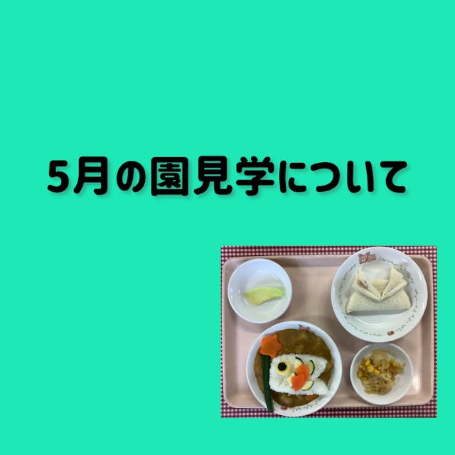 5月の園見学について