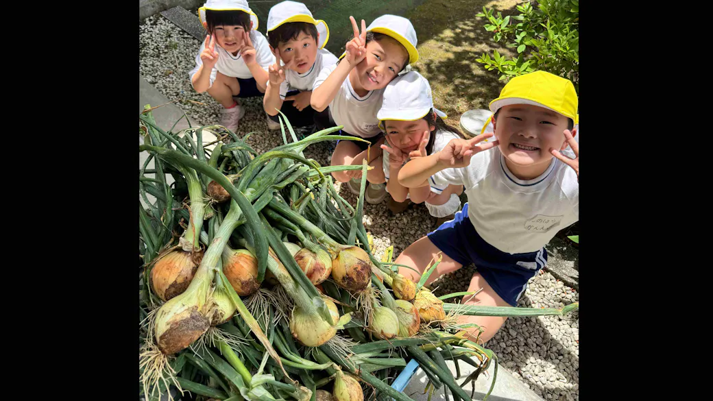 玉ねぎ大収穫！！