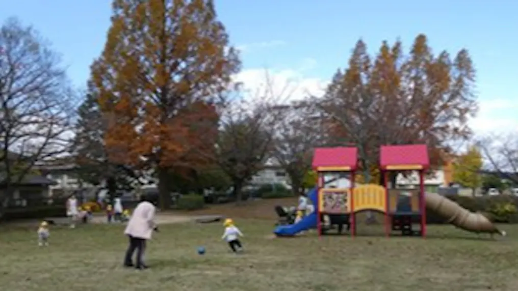 周辺の様々な公園へ出かけます！