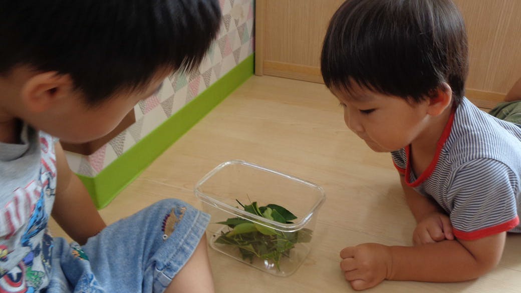 子どもの「やってみたい」を引き出す環境