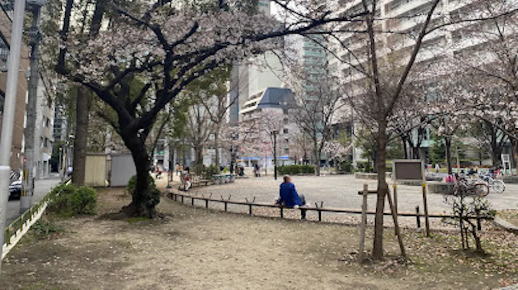 園のそばにはたくさんの公園