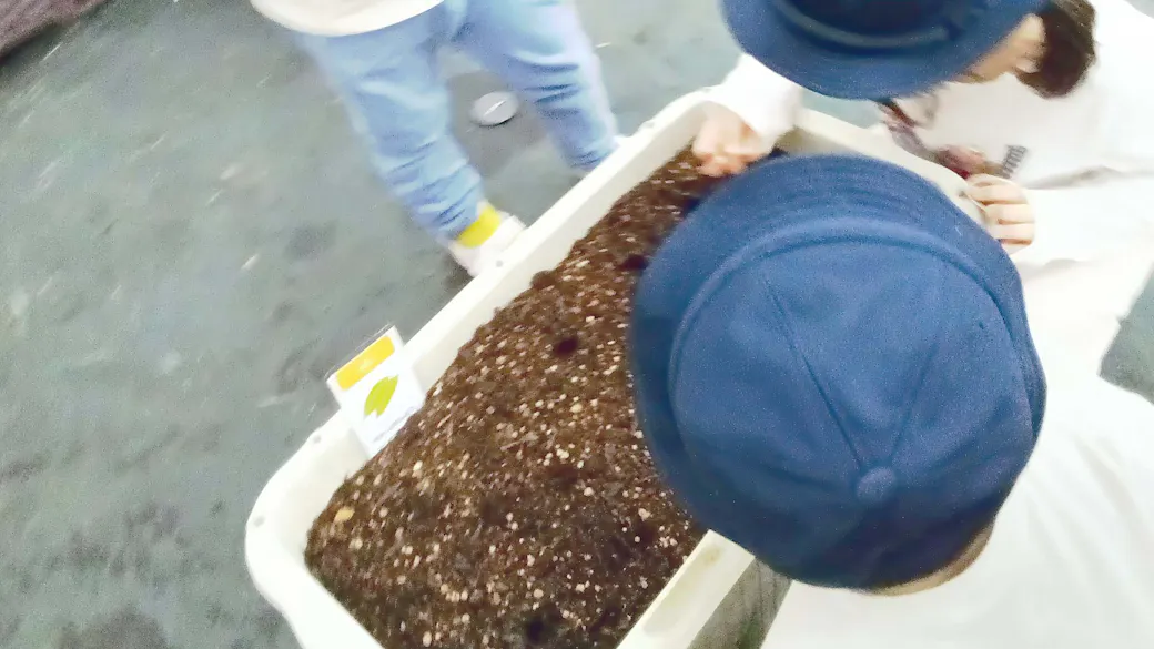食育