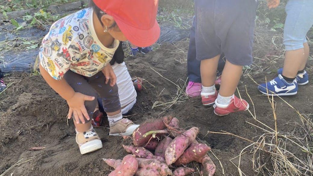 土にふれ、命を感じる「いもほり」