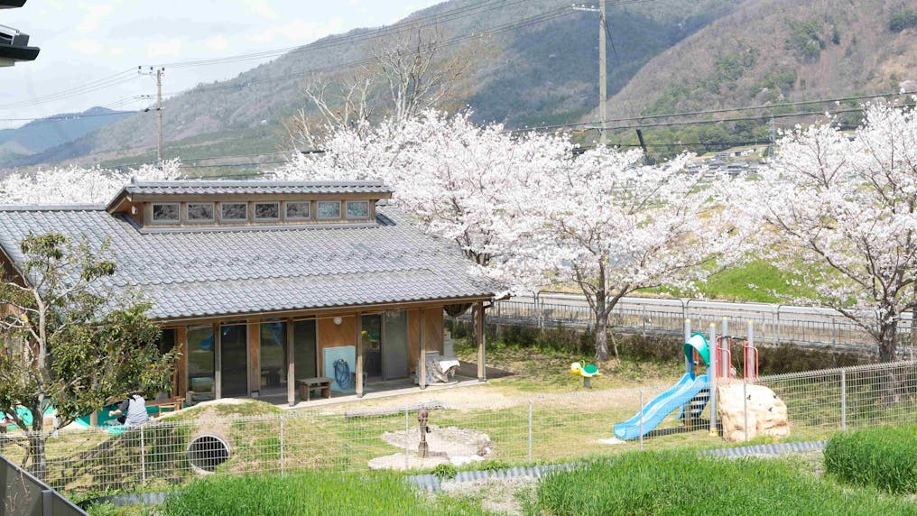 自然に抱かれた、のびのび育つ園庭