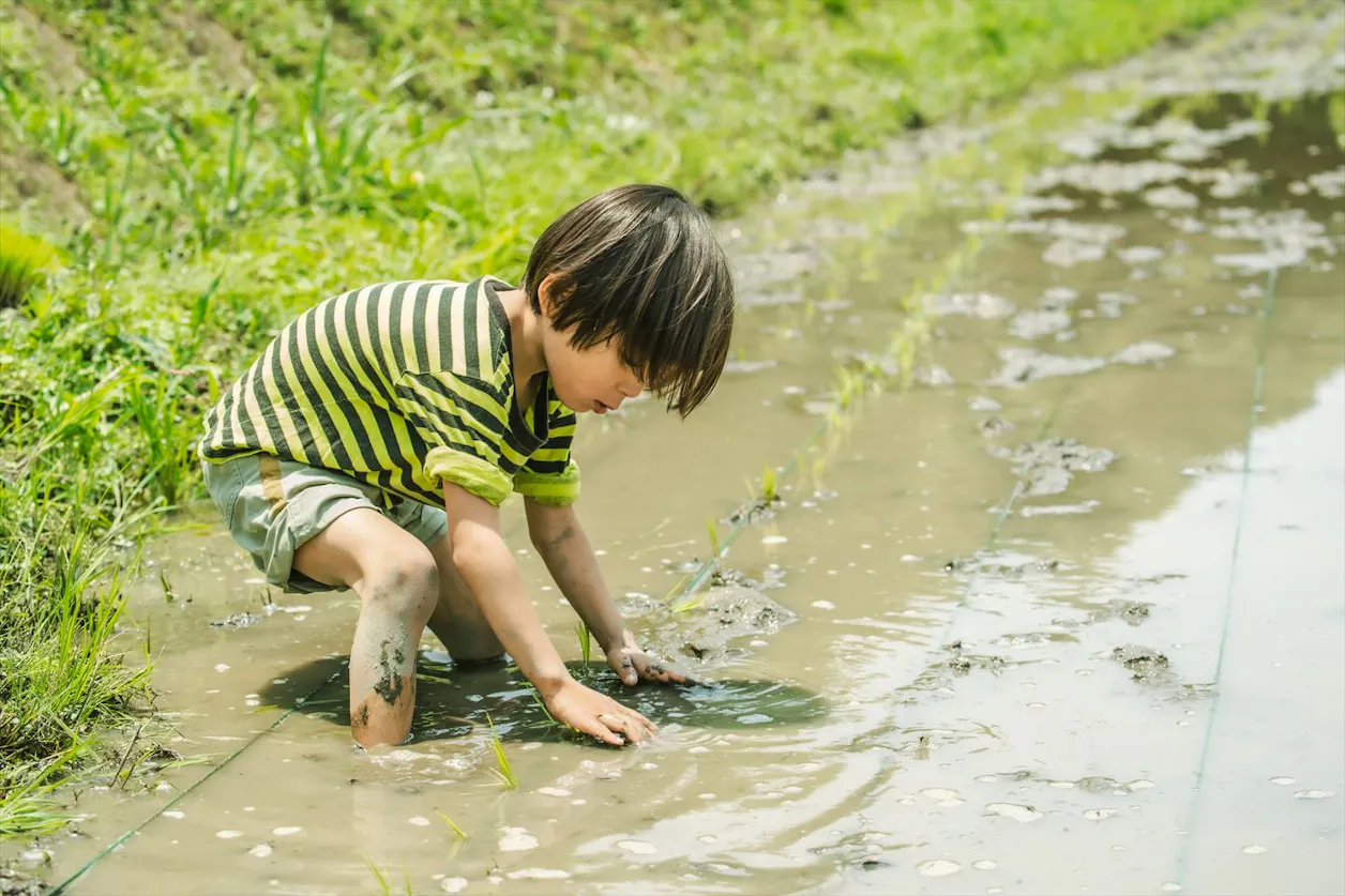 ぽっぷる友園