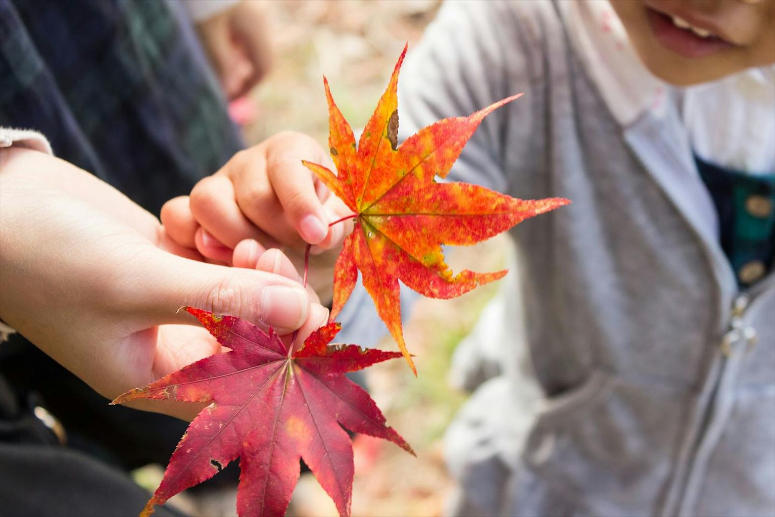 土曜日だけのお仕事です♪