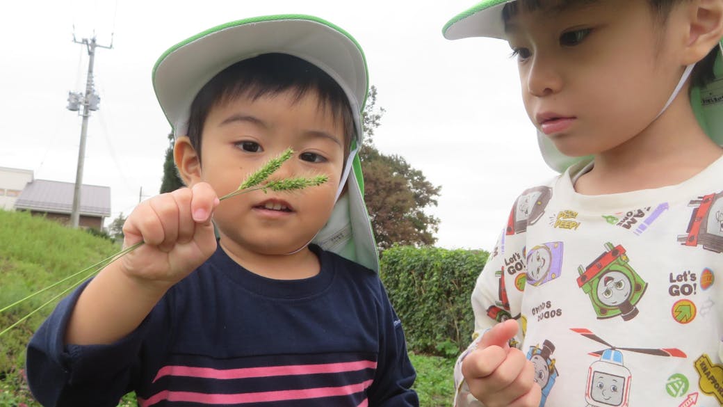 自然豊かな環境で外遊び